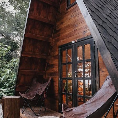 Cabane Azur Mountain 瓦洛里 外观 照片